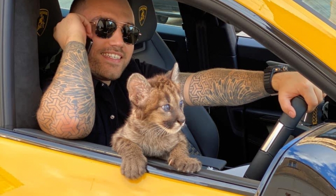 Goldcar Operations 'owner' shows little knowledge about company in Christian Borg illegal employment case