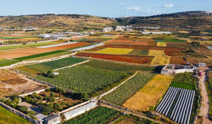 Malta has highest farmland prices in EU